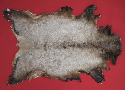 Picture of this lot Tanned Elk Hides, Furs, Pelts, Skins
