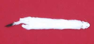 Picture of this lot Tanned Ermine / Weasel Hides, Furs, Pelts, Skins