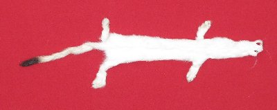 Picture of this lot Tanned Ermine / Weasel Hides, Furs, Pelts, Skins