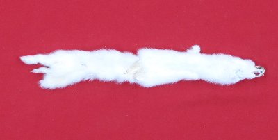 Picture of this lot Tanned Ermine / Weasel Hides, Furs, Pelts, Skins