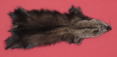 fur decor craft Fishimper40" Soft Tanned Fisher Pelt hunting 