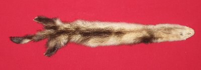 Picture of this lot Tanned Furs - Fitch