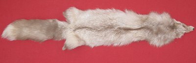 Picture of this lot Tanned Amber Fox Hides, Furs, Pelts, Skins