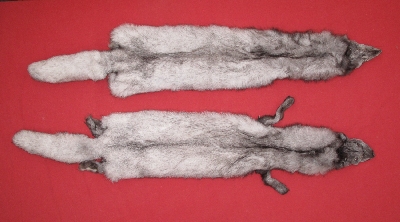 fox fur pelts