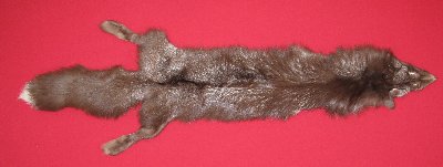 Picture of this lot Tanned Burgundy Fox Hides, Furs, Pelts, Skins