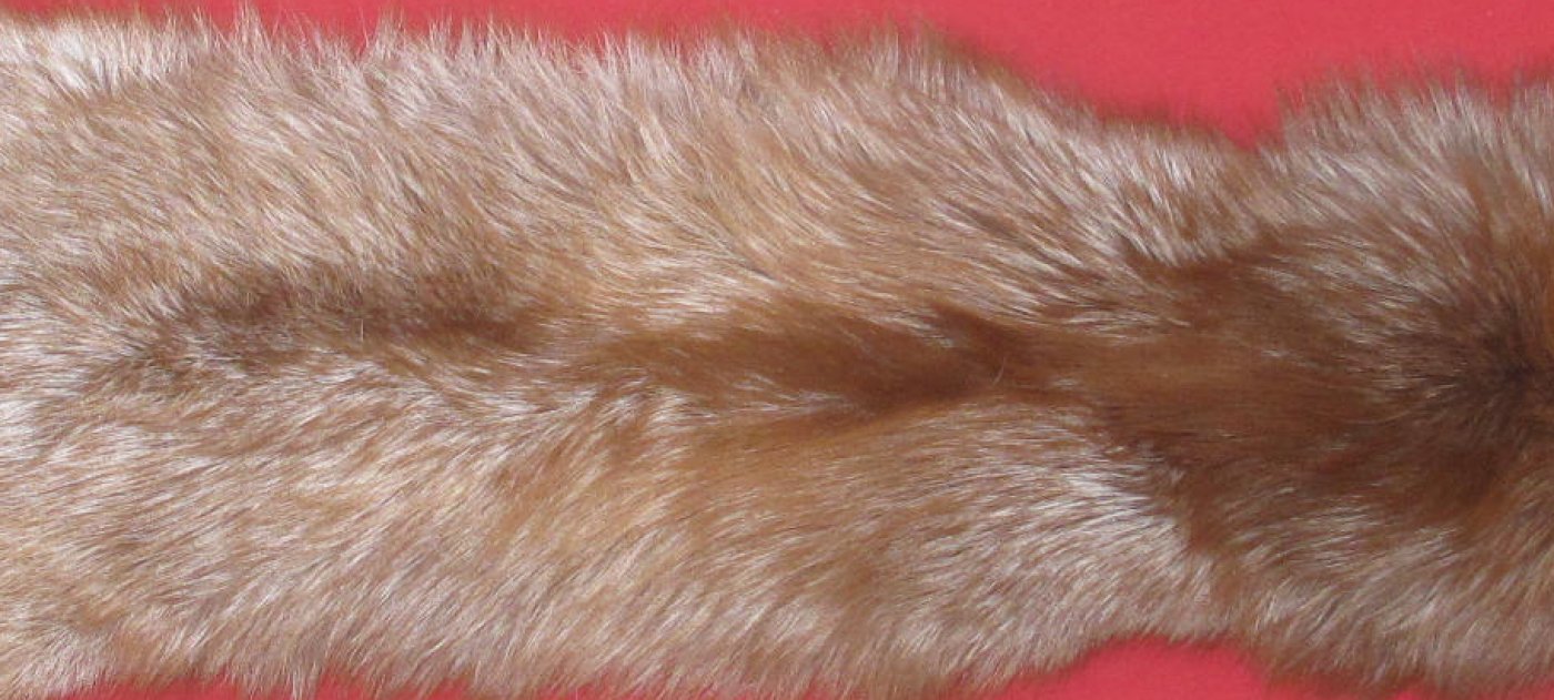 Tanned Furs : CINNAMON FOX (6645-0036) : hideandfur.com