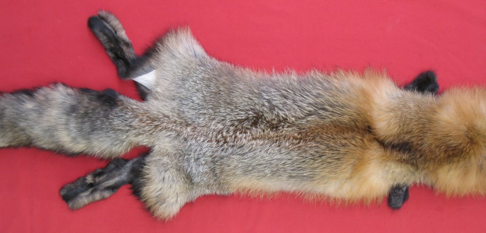 Tanned Furs Cross Fox 6660 0209 