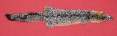 Picture of this lot Tanned Grey Fox Hides, Furs, Pelts, Skins