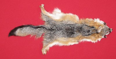 Picture of this lot Tanned Grey Fox Hides, Furs, Pelts, Skins