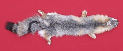 Picture of this lot Tanned Grey Fox Hides, Furs, Pelts, Skins