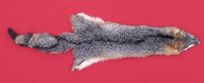 Picture of this lot Tanned Grey Fox Hides, Furs, Pelts, Skins