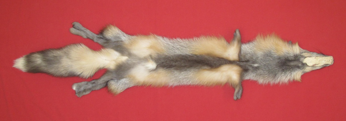 Tanned Furs : PEARL CROSS FOX (6810-0029) : hideandfur.com