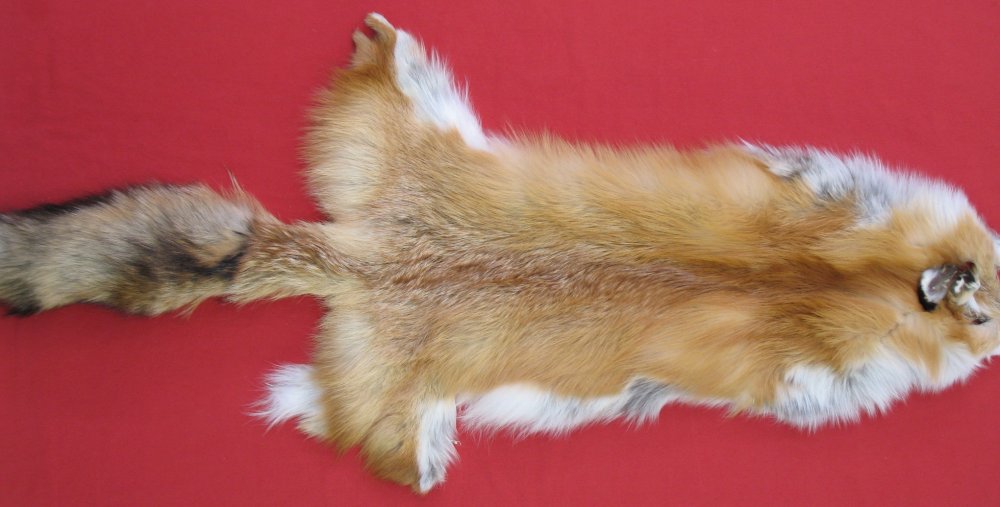 Tanned Furs : RED FOX (6900-1238) : hideandfur.com