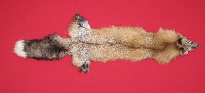 Picture of this lot Tanned Red Fox Hides, Furs, Pelts, Skins