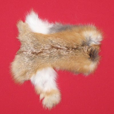 Picture of this lot Tanned Red Fox Hides, Furs, Pelts, Skins