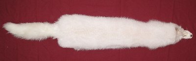 Picture of this lot Tanned Shadow Fox Hides, Furs, Pelts, Skins