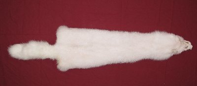 Picture of this lot Tanned Shadow Fox Hides, Furs, Pelts, Skins
