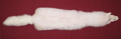 Picture of this lot Tanned Shadow Fox Hides, Furs, Pelts, Skins