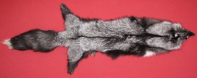 Picture of this lot Tanned Silver Fox Hides, Furs, Pelts, Skins