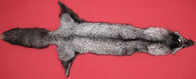 Picture of this lot Tanned Silver Fox Hides, Furs, Pelts, Skins