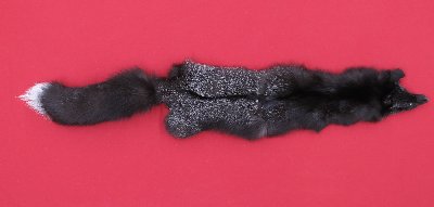 Picture of this lot Tanned Silver Fox Hides, Furs, Pelts, Skins