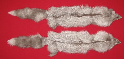 Picture of this lot Tanned Miscellaneous Fox Hides, Furs, Pelts, Skins