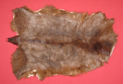 Picture of this lot Tanned Domestic Goat Hides, Furs, Pelts, Skins