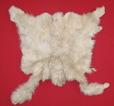 Picture of this lot Tanned Furs - Mountain Goat