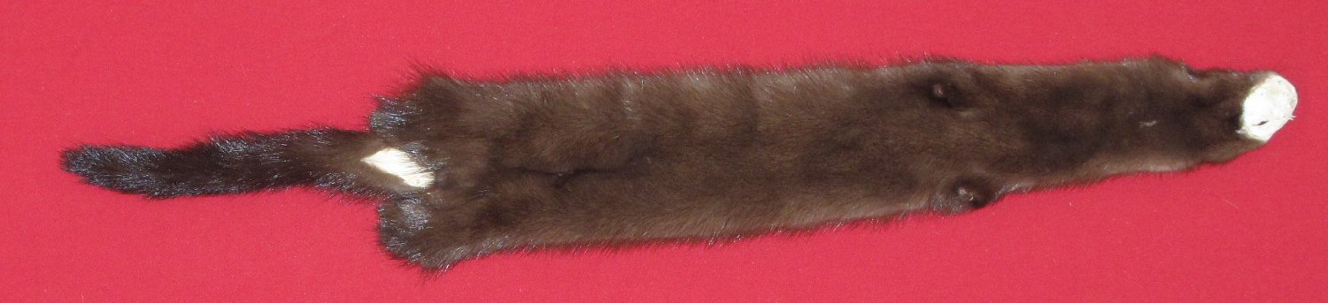 Tanned Furs : Wild Mink (7125-0864) : Hideandfur.com