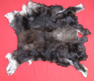 Tanned Furs : MOOSE - HIDES (7145-0083) : hideandfur.com