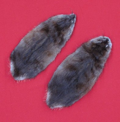 Picture of this lot Tanned Muskrat Hides, Furs, Pelts, Skins