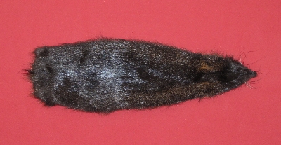 Picture of this lot Tanned Nutria Hides, Furs, Pelts, Skins