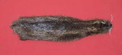 Picture of this lot Tanned Nutria Hides, Furs, Pelts, Skins