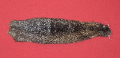 Picture of this lot Tanned Nutria Hides, Furs, Pelts, Skins