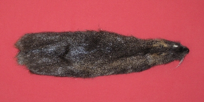 Picture of this lot Tanned Nutria Hides, Furs, Pelts, Skins