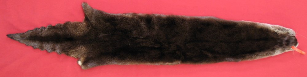 Tanned Otter Hides, Pelts, Skins for sale by www.hideandfur.com