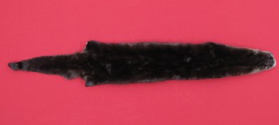 Picture of this lot Tanned Otter Hides, Pelts, Skins