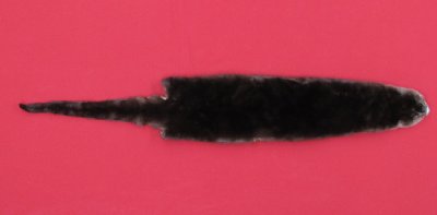 Picture of this lot Tanned Otter Hides, Pelts, Skins