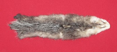 Picture of this lot Tanned Opossum Hides, Furs, Pelts, Skins