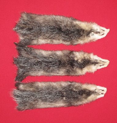 Picture of this lot Tanned Opossum Hides, Furs, Pelts, Skins