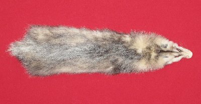 Picture of this lot Tanned Opossum Hides, Furs, Pelts, Skins