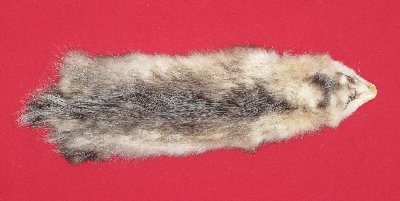 Picture of this lot Tanned Opossum Hides, Furs, Pelts, Skins