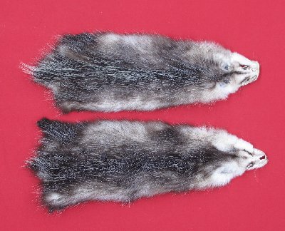 Picture of this lot Tanned Opossum Hides, Furs, Pelts, Skins