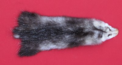 Picture of this lot Tanned Opossum Hides, Furs, Pelts, Skins