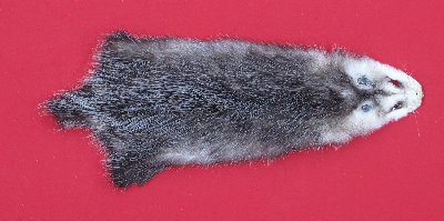 Picture of this lot Tanned Opossum Hides, Furs, Pelts, Skins