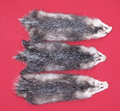 Picture of this lot Tanned Opossum Hides, Furs, Pelts, Skins