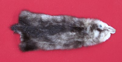 Picture of this lot Tanned Opossum Hides, Furs, Pelts, Skins