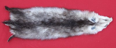 Picture of this lot Tanned Opossum Hides, Furs, Pelts, Skins