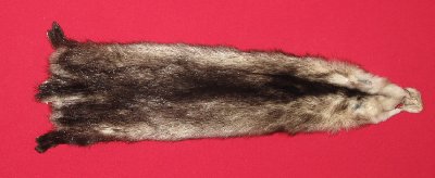 Picture of this lot Tanned Opossum Hides, Furs, Pelts, Skins