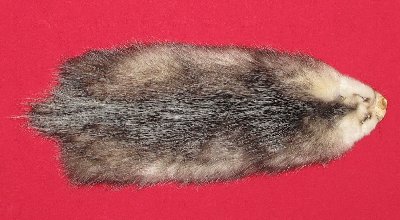 Picture of this lot Tanned Opossum Hides, Furs, Pelts, Skins
